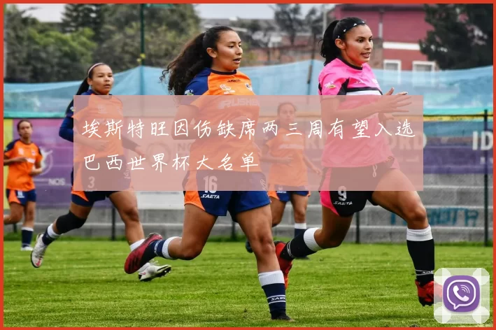 埃斯特旺因伤缺席两三周有望入选巴西世界杯大名单